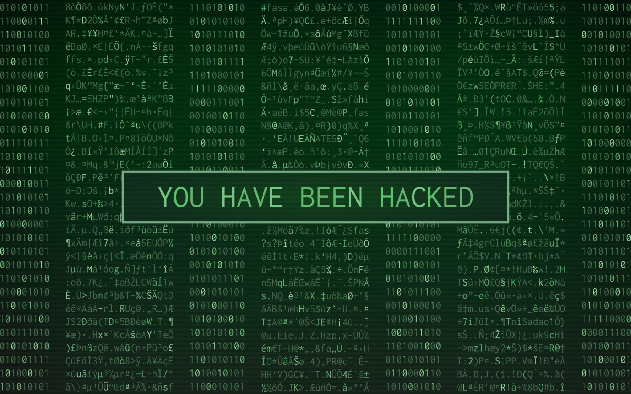 What To Do If Your Website Was Hacked Mailprotector